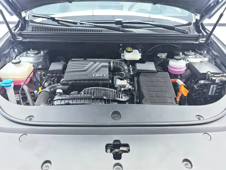 BYD Pro New Energy 2024 — фото 10