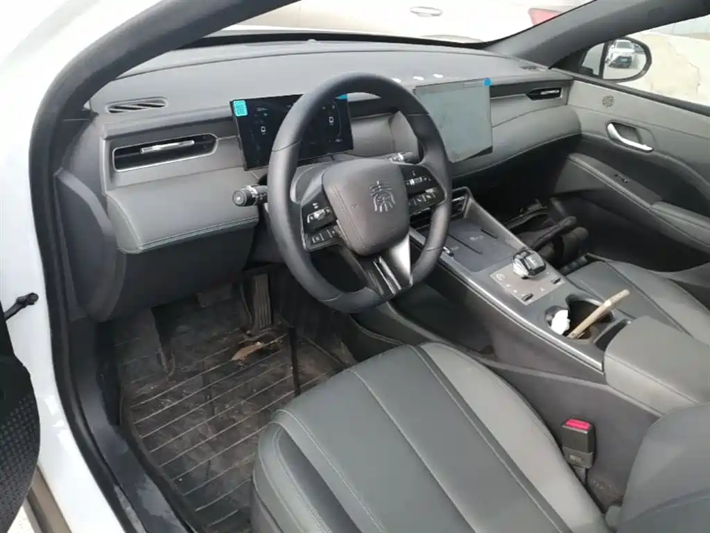BYD Qin PLUS 2025 — фото 10