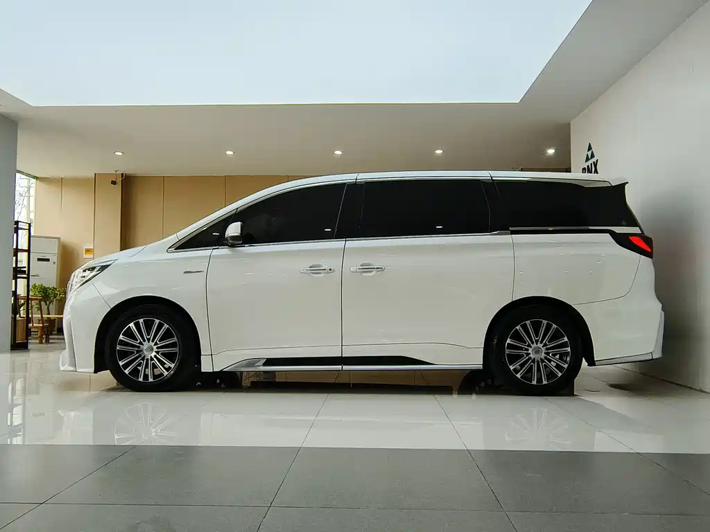 GAC Motor Trumpchi M8 2022 — фото 4