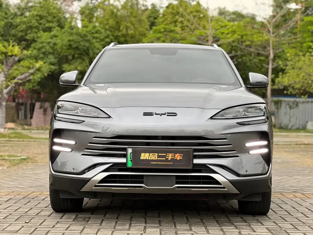 BYD PLUS New Energy 2023 — фото 2