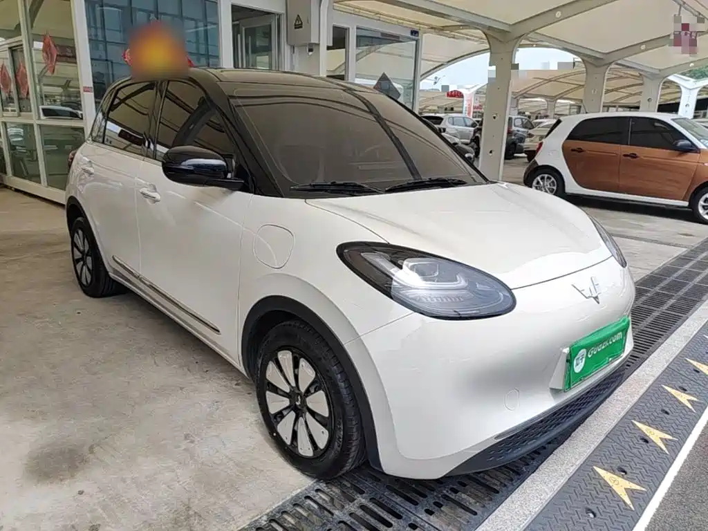 Wuling Bingo 2024