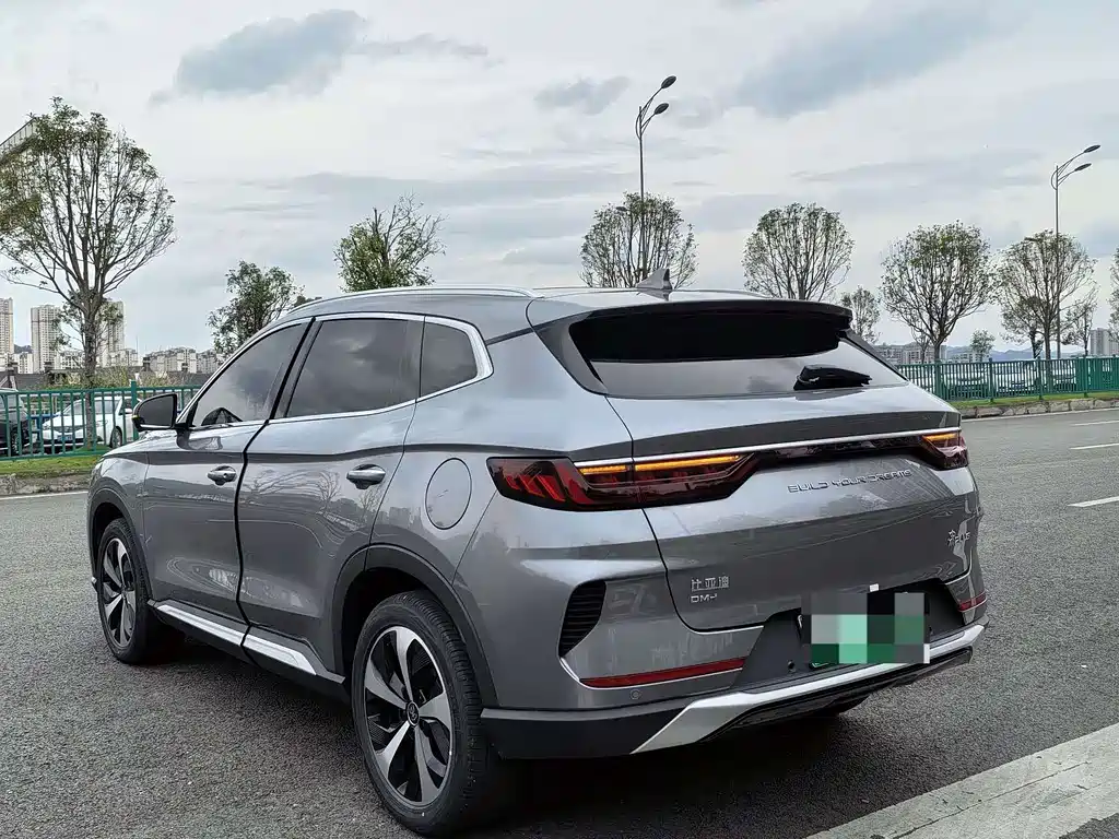 BYD PLUS New Energy 2022 — фото 6