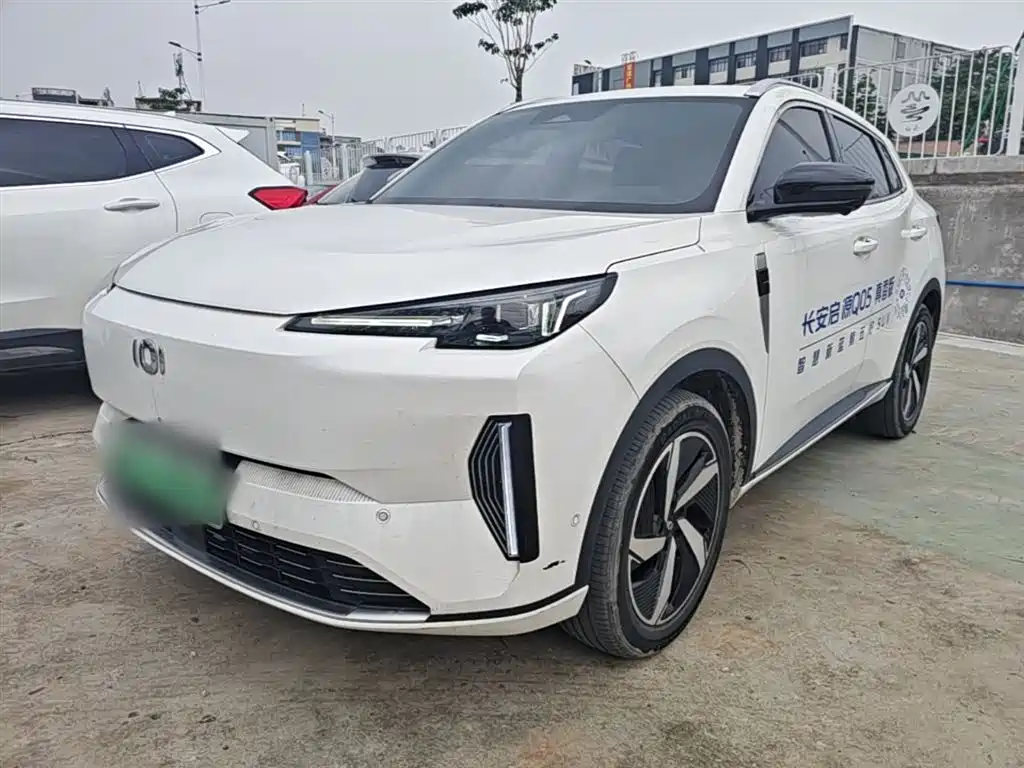 Qiyuan Q05 Classic 2023