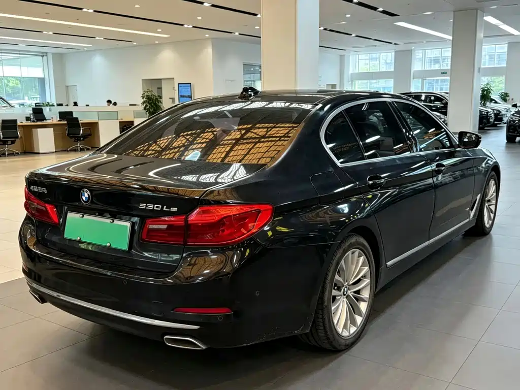 BMW 5 Series New Energy 2020 — фото 3