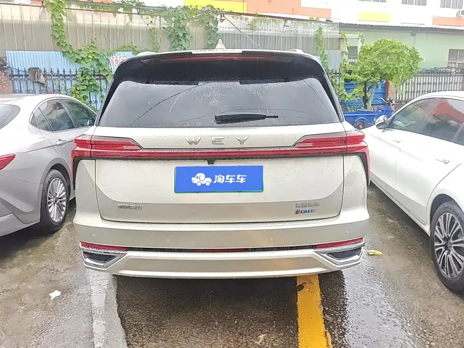 Wey Lanshan 2024
