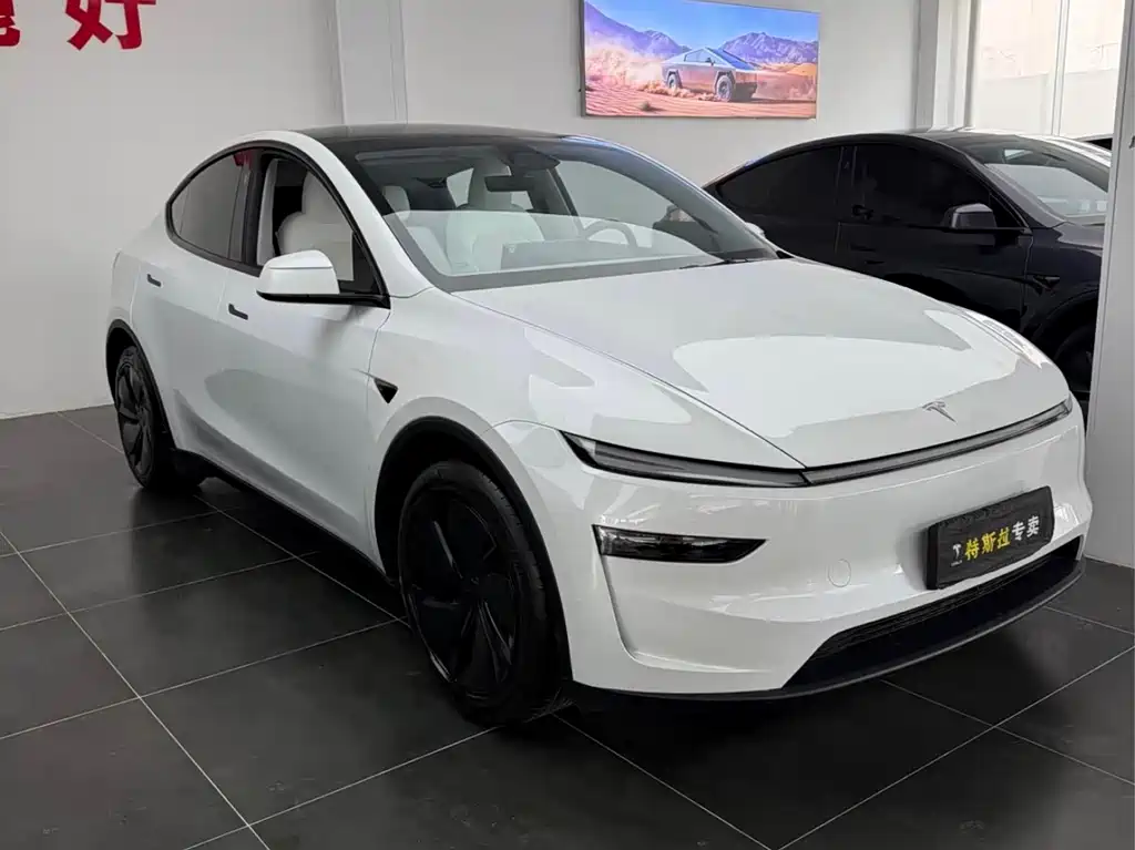 Tesla Model Y 2025 — фото 3