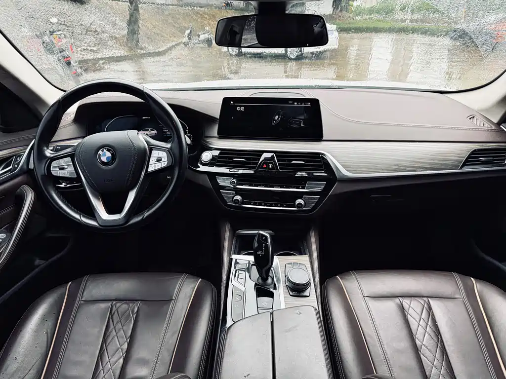 BMW 5 Series New Energy 2019 — фото 24