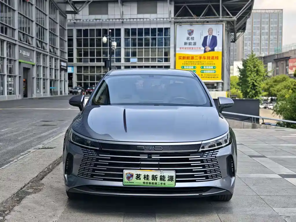 BYD Destroyer 05 2024 — фото 2