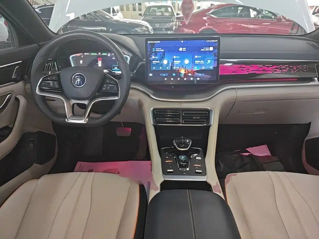 BYD Song PLUS New Energy 2021 — фото 10