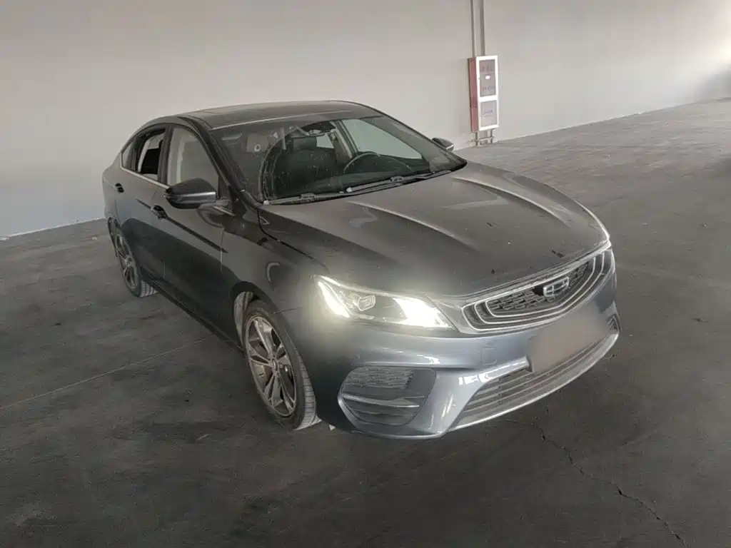 Geely Binrui 2019