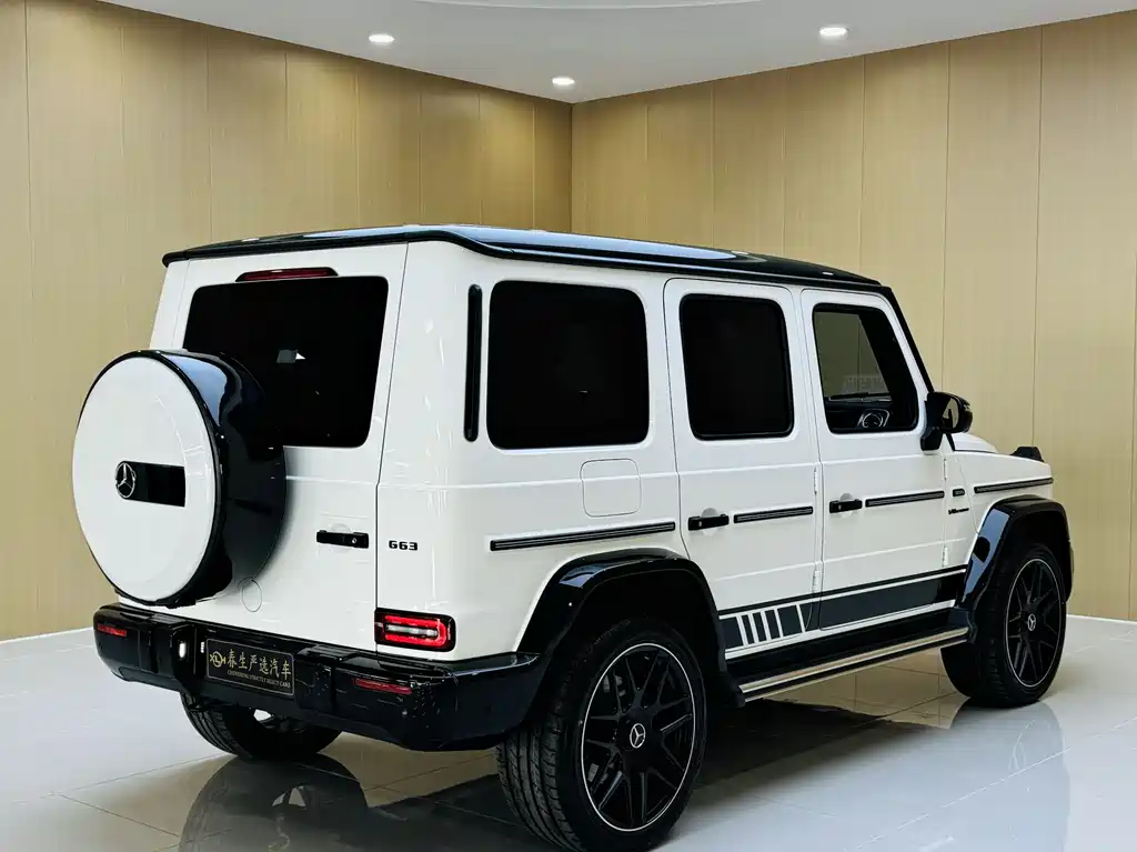 Mercedes-Benz G-Class 2023 — фото 16