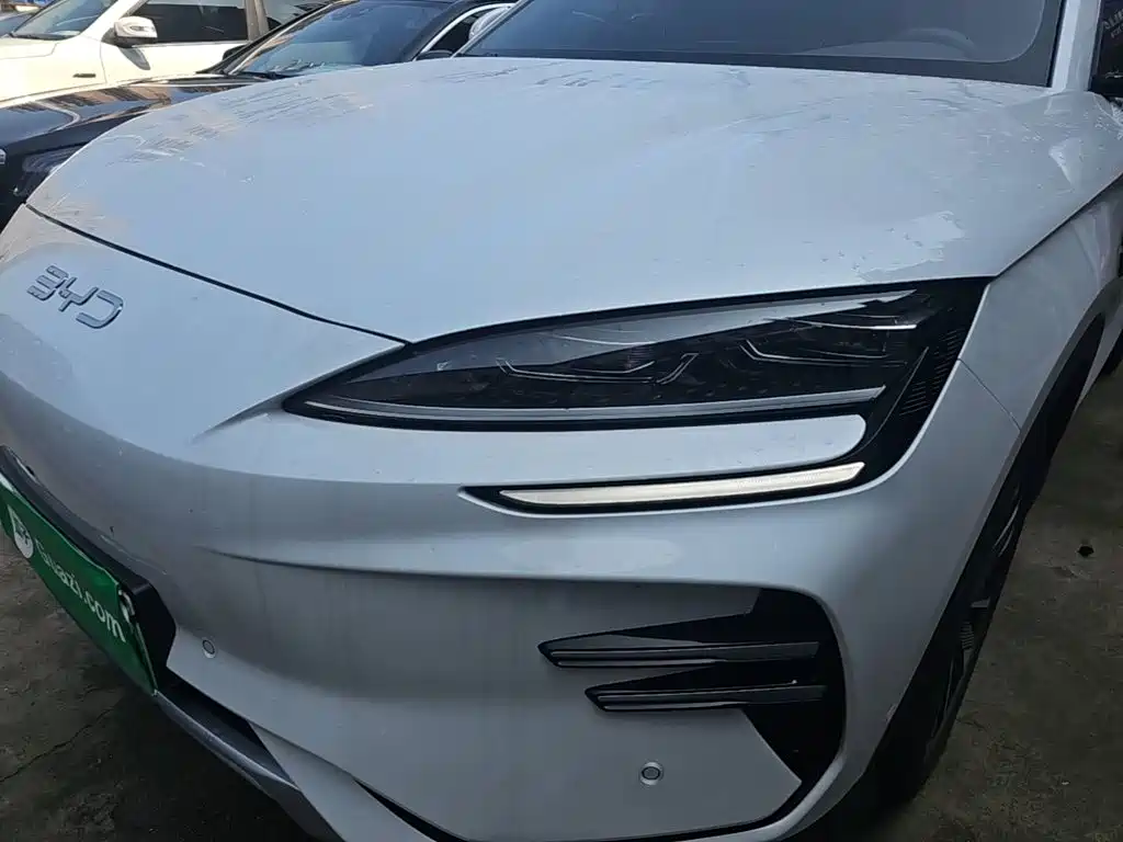 BYD Song PLUS New Energy 2025 — фото 24
