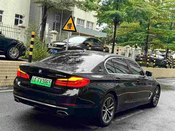 BMW 5 Series New Energy 2018