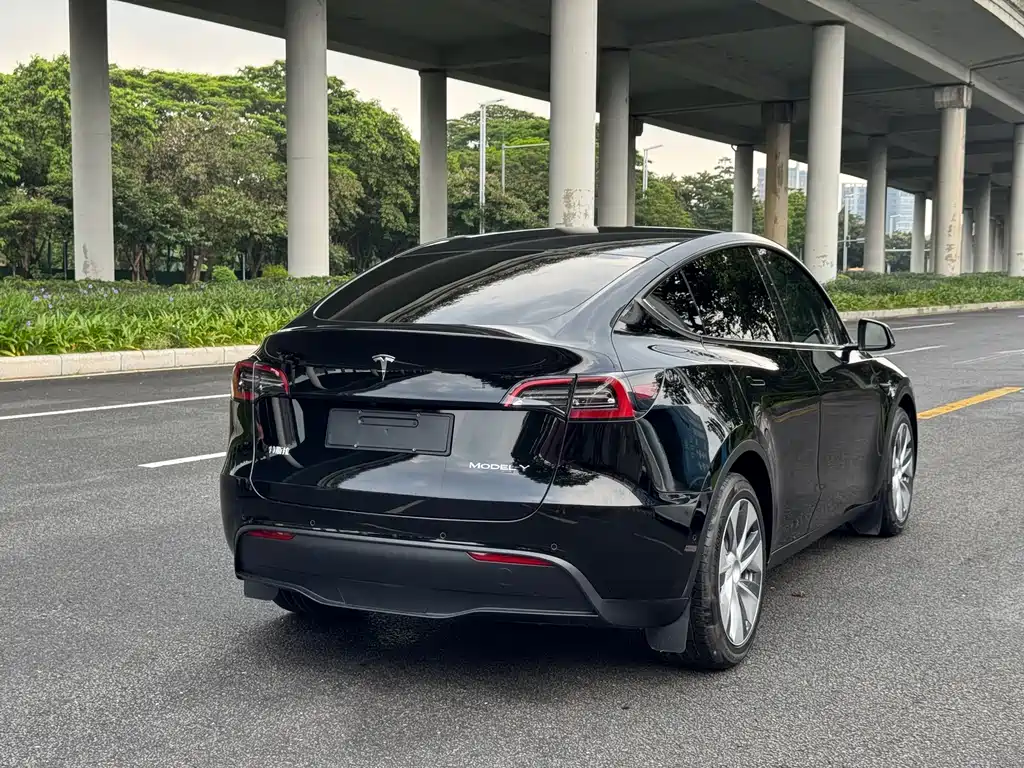 Tesla Model Y 2021 — фото 3
