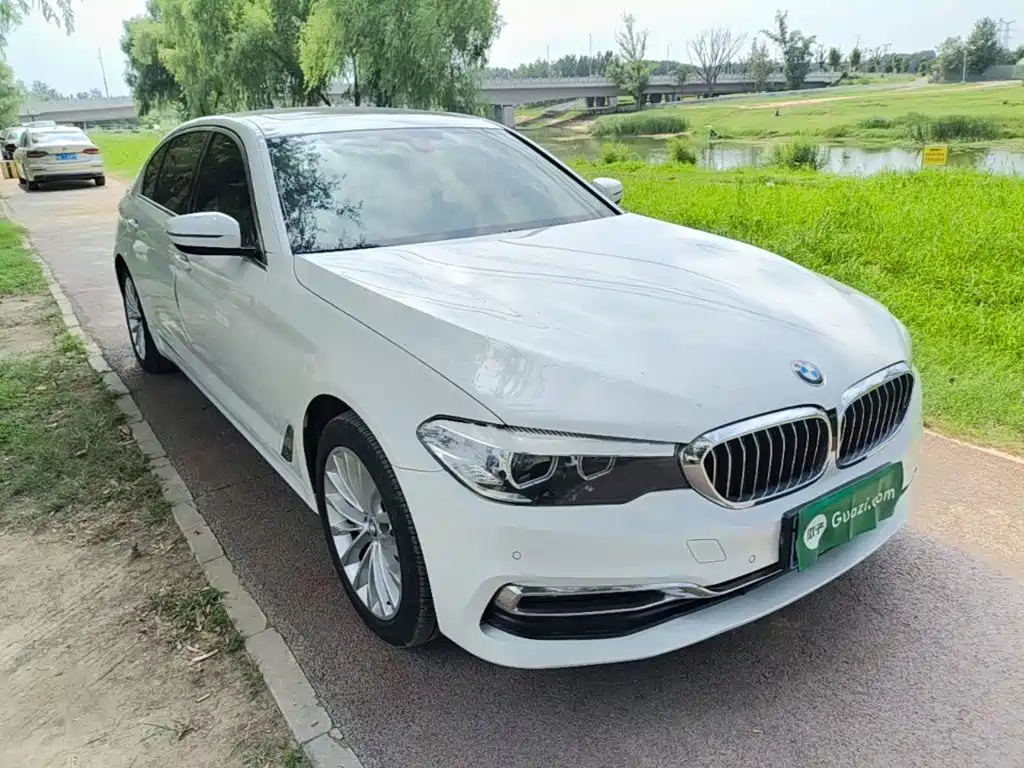 BMW 5 Series 2019