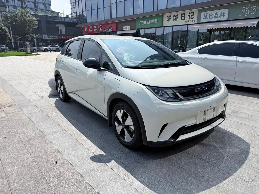 BYD Dolphin 2023