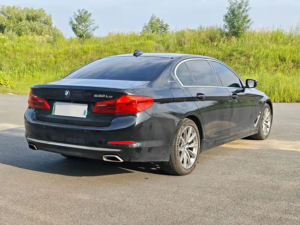 BMW 5 Series New Energy 2018 — фото 4