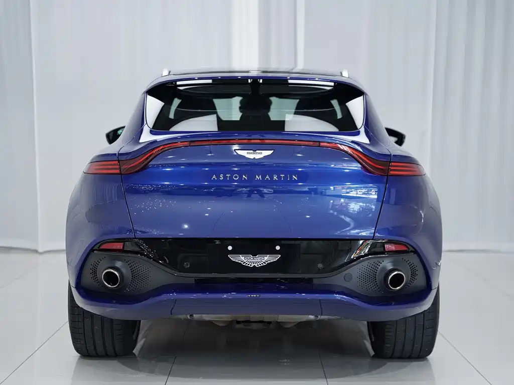 Aston Martin DBX 2023 — фото 16