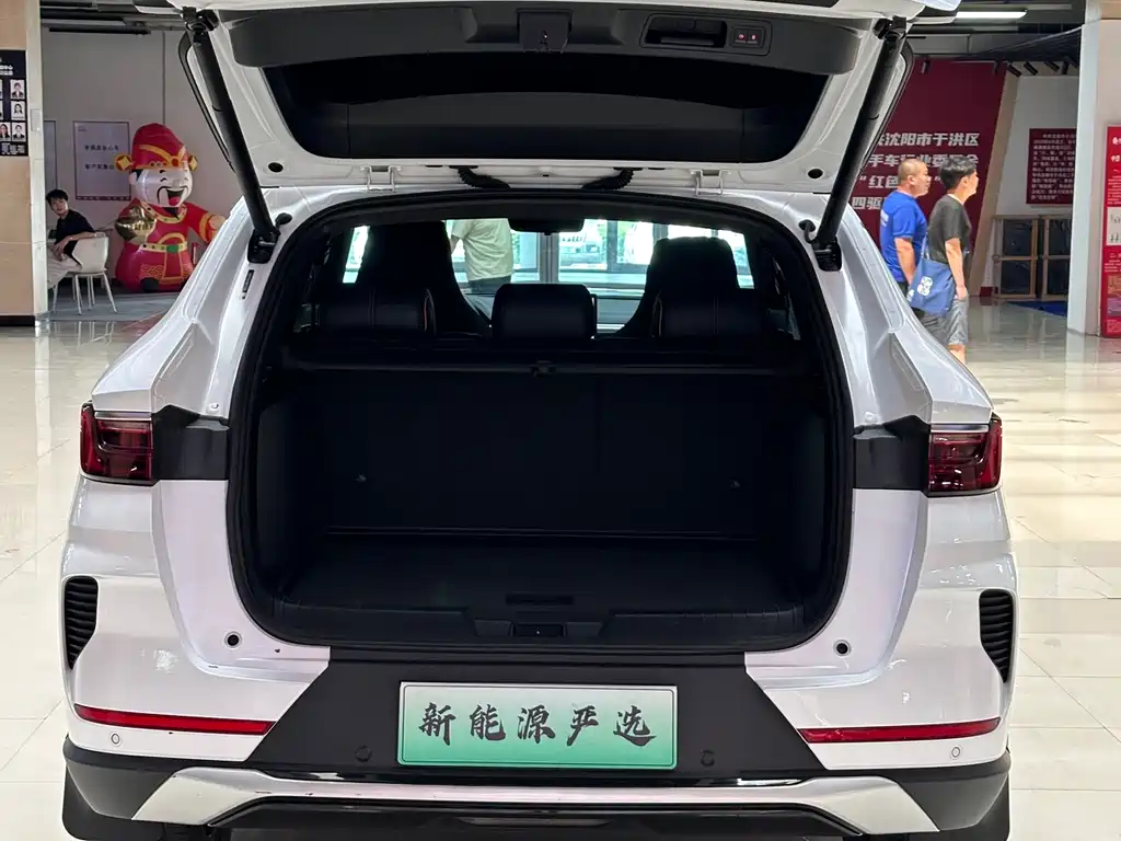 BYD Song PLUS New Energy 2022 — фото 10