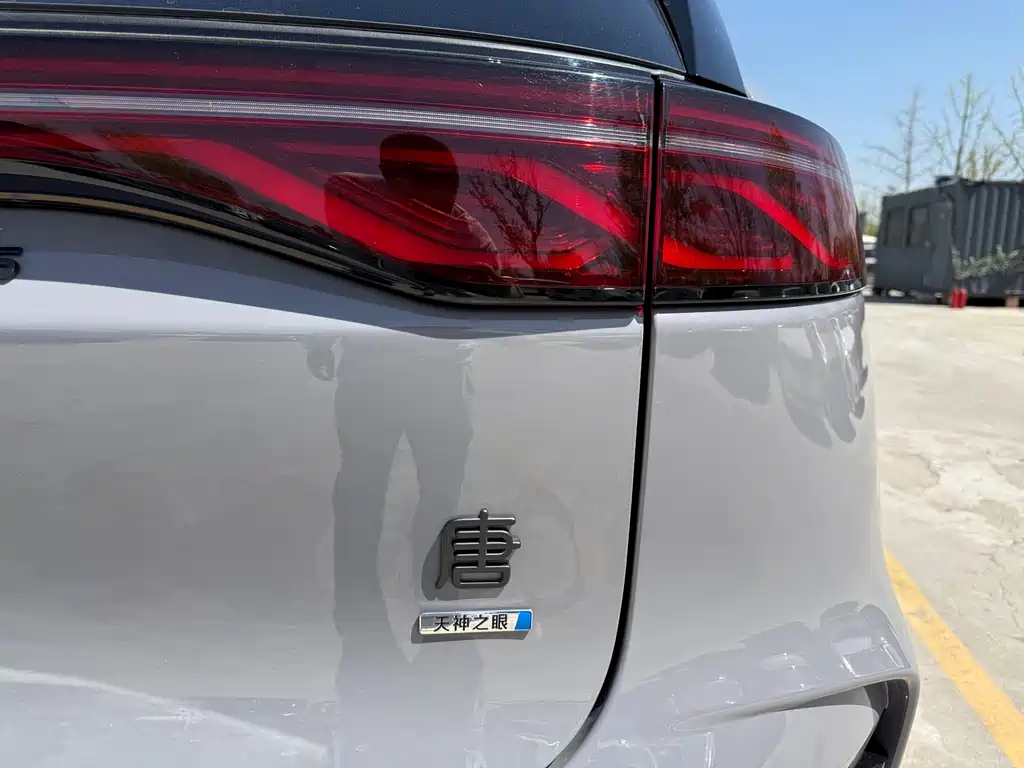 BYD Tang New Energy 2025 — фото 14
