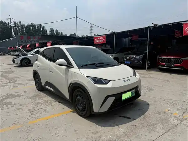 BYD Seagull 2024