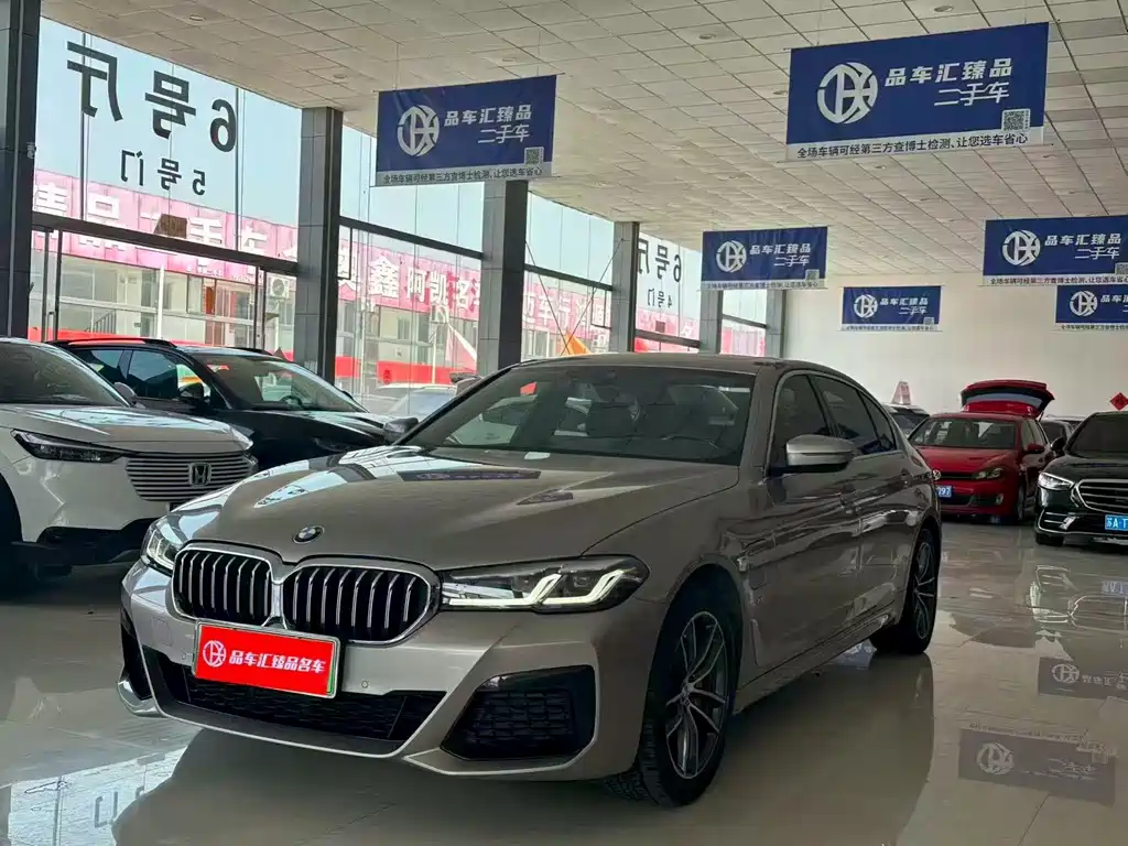 BMW 5 Series New Energy 2021