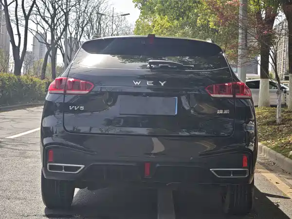 Wey VV5 2020