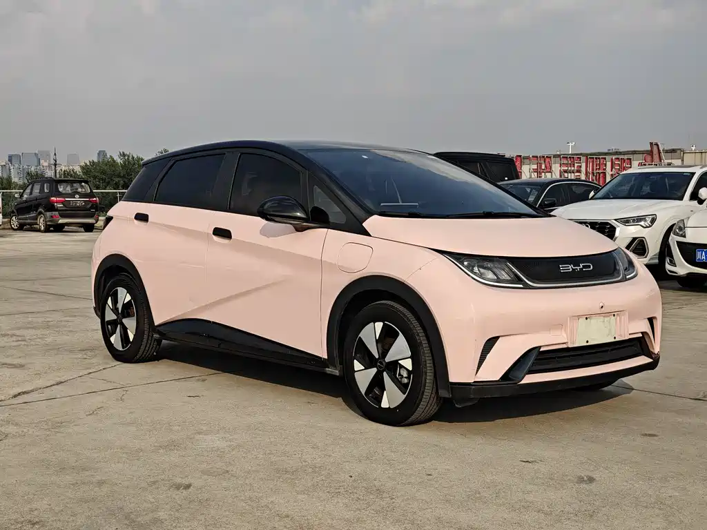 BYD Dolphin 2024