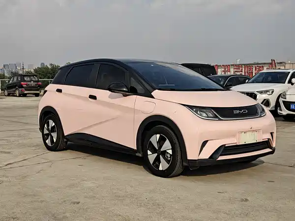 BYD Dolphin 2024