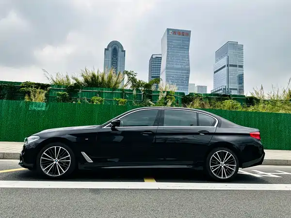 BMW 5 Series 2020