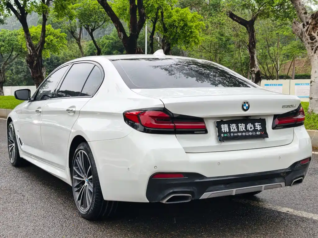 BMW 5 Series 2018 — фото 6