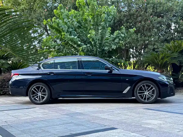 BMW 5 Series 2021