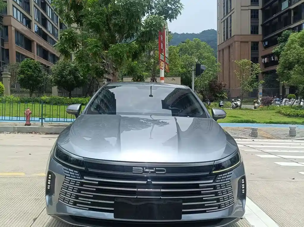 BYD Destroyer 05 2023 — фото 2