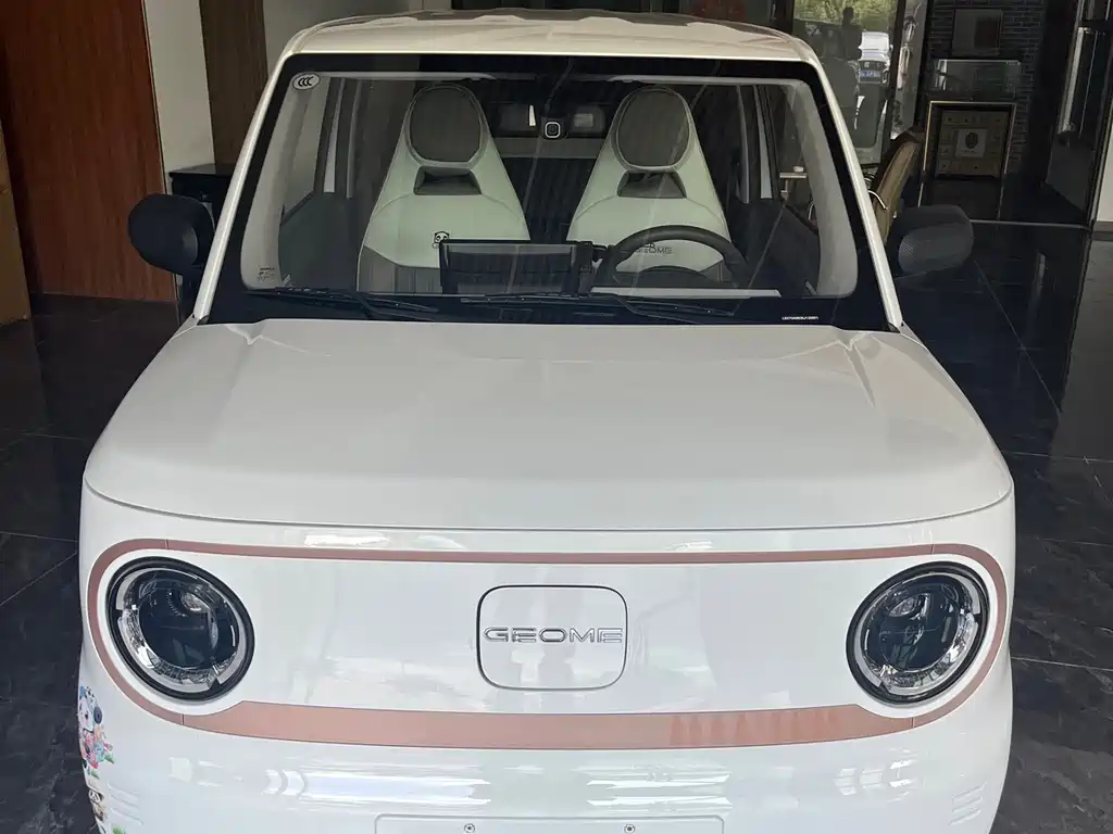 Geely Galaxy Panda 2024