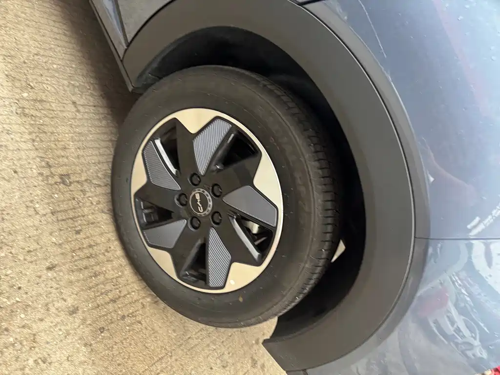 BYD Dolphin 2025