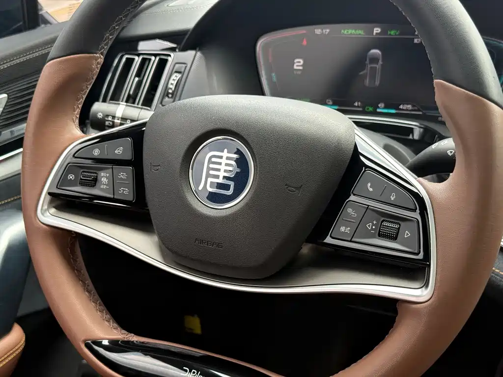 BYD Tang New Energy 2023 — фото 15