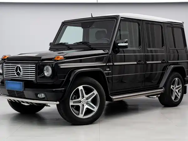 Mercedes-Benz G-Class AMG 2009