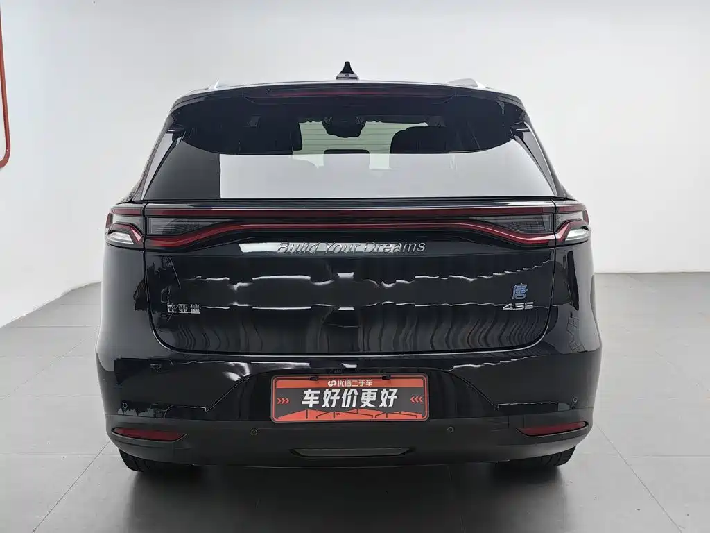 BYD Tang New Energy 2019 — фото 4