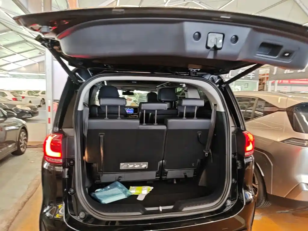 GAC Trumpchi M8 2020 — фото 19