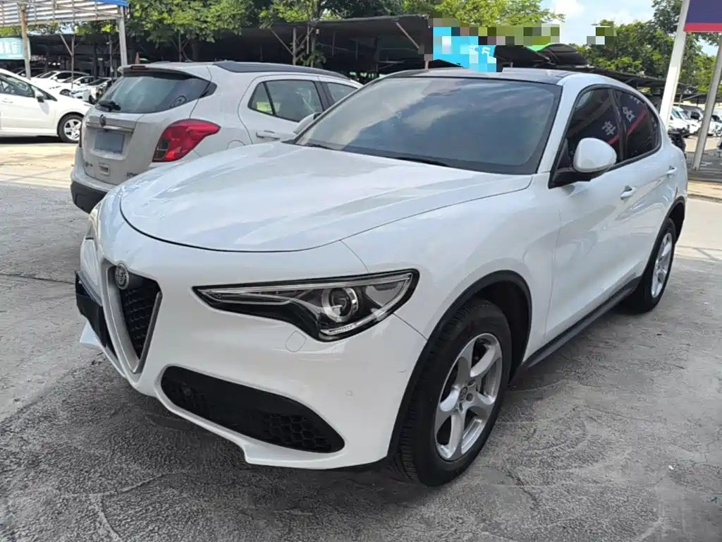 Alfa Romeo Stelvio 2019 — фото 2