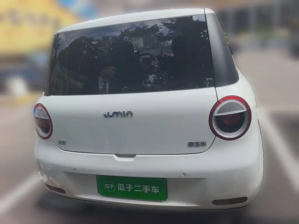 Qiyuan Lumin 2025