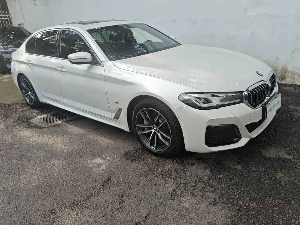 BMW 5 Series New Energy 2021 — фото 4