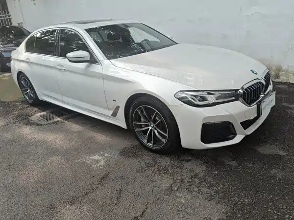 BMW 5 Series New Energy 2021
