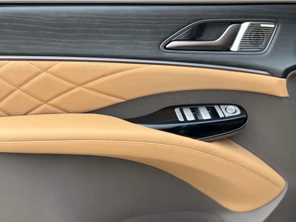 Denza D9 2023 — фото 15