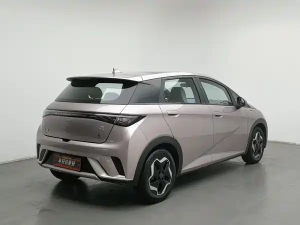 BYD Dolphin 2022