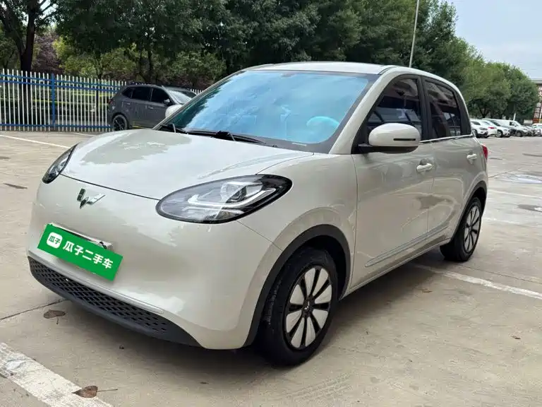 Wuling Bingo 2024