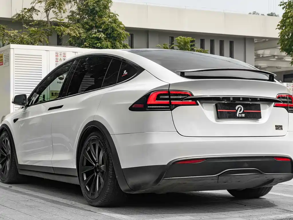 Tesla Model X 2023 — фото 6