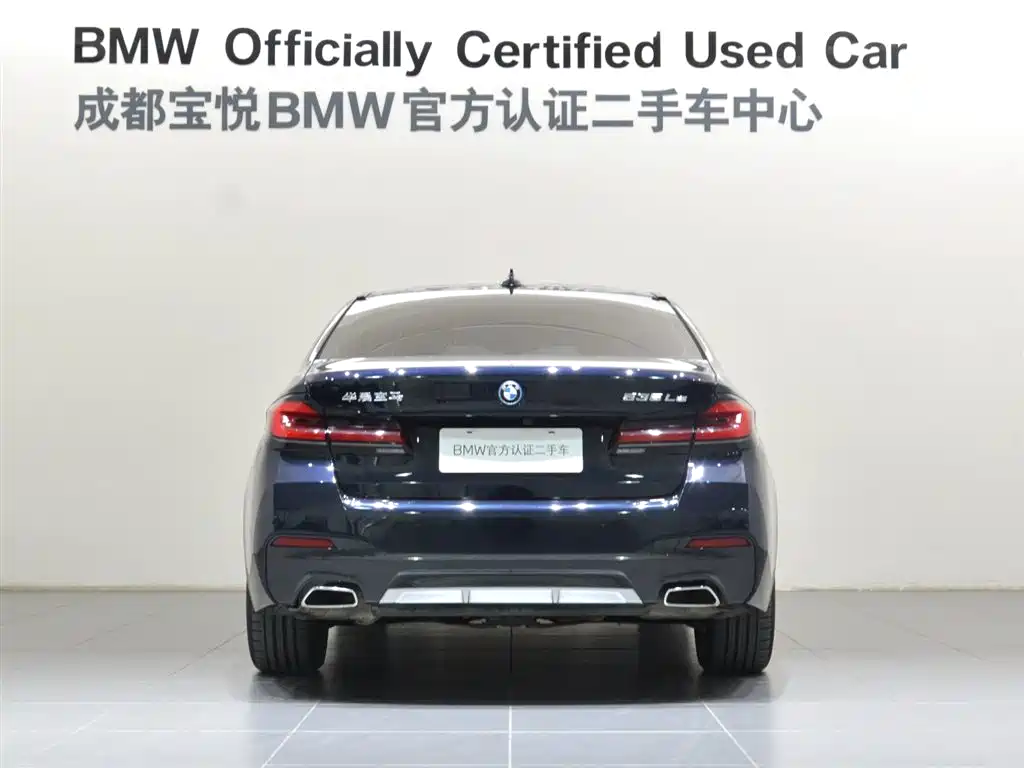 BMW 5 Series New Energy 2022