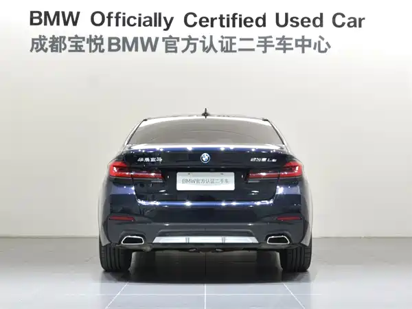 BMW 5 Series New Energy 2022