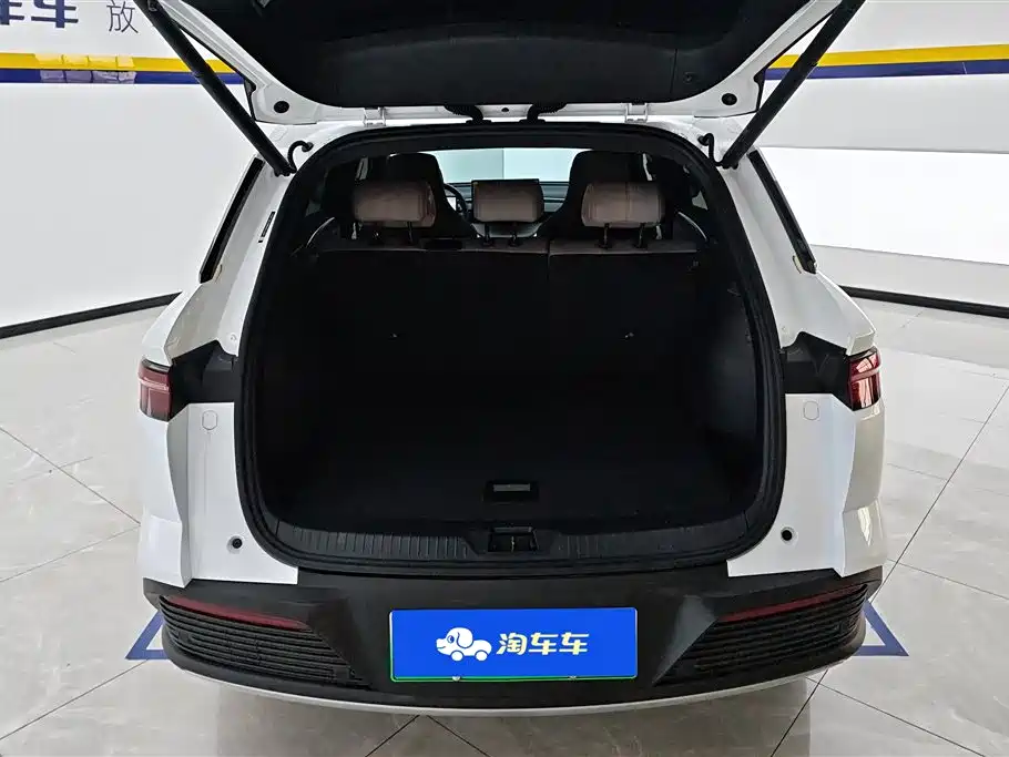 BYD Pro New Energy 2024 — фото 4